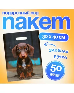 Пакет подарочный "Милая такса", полиэтиленовый с вырубной ручкой, 30 х 40 см 50 мкм арт. СМЛ-237108-1-СМЛ0010364565