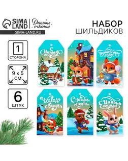 Шильдик декоративный в наборе «Чудеса рядом», 5 х 9 см арт. СМЛ-237128-1-СМЛ0010365413