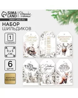 Шильдик декоративный в наборе «Твоя Новогодняя сказка», 5 х 9 см арт. СМЛ-266706-1-СМЛ0010365414