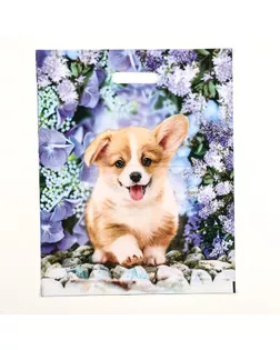 Пакет "Рыжик", полиэтиленовый с вырубной ручкой, 38х47 см, 60 мкм арт. СМЛ-237215-1-СМЛ0010370997