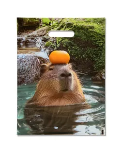 Пакет подарочный "Капибара", полиэтиленовый с вырубной ручкой, 30 х 40 см 50 мкм арт. СМЛ-237256-1-СМЛ0010372137