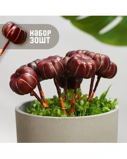 Набор штекеров "Тыковка" 30шт, 4х2см арт. СМЛ-237939-1-СМЛ0010421814