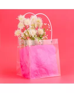 Пакет подарочный ПП, прозрачный 23 х 18 х  24 см арт. СМЛ-239939-1-СМЛ0010479076