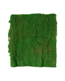 Мох искусственный, декоративный, полотно 1 × 1 м, зелёный, Greengo арт. СМЛ-240022-1-СМЛ0010481976