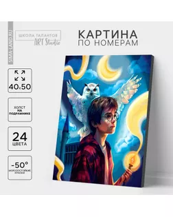 Картина по номерам на холсте с подрамником «Волшебство рядом», 40 х 50 см арт. СМЛ-240624-1-СМЛ0010524524
