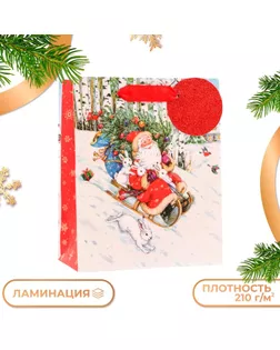 Пакет подарочный "На санях", люкс, 18 х 22,3 х 10 см. арт. СМЛ-241232-1-СМЛ0010544238