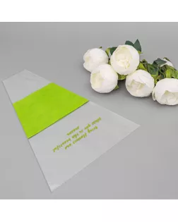 Пакет конус для цветов, с нетканым материалом,  26+7х37 см, салатовый арт. СМЛ-241340-1-СМЛ0010547148