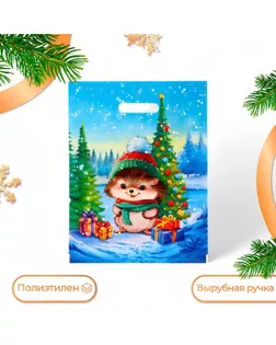Пакет "Колючка", полиэтиленовый с вырубной ручкой, 31х40 см. арт. СМЛ-242530-1-СМЛ0010617959