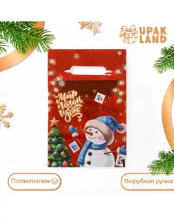 Пакет "Снеговик мир полон чудес", полиэтиленовый с вырубной ручкой, 20х30 см, 30 мкм арт. СМЛ-242269-1-СМЛ0010638416