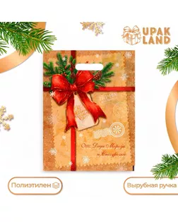 Пакет "Послание от деда мороза и снегурочки", полиэтиленовый с вырубной ручкой, 30 х 40 см. арт. СМЛ-242274-1-СМЛ0010638424