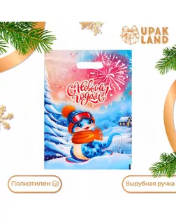 Пакет "Змея сноубордист", полиэтиленовый с вырубной ручкой, 30 х 40 см. арт. СМЛ-253714-1-СМЛ0010638759