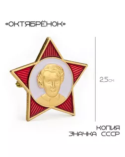 Значок «Октябренок», 2.5 см, цвет красно-белый в золоте арт. СМЛ-242302-1-СМЛ0010639069