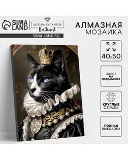 Алмазная вышивка полное заполнение "Мусье кот", на раме, 40*50 см арт. СМЛ-263459-1-СМЛ0010656175