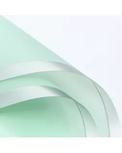 Пленка для цветов, "Серебряный кант", зелёный пастельный, 57х57±1 см арт. СМЛ-244169-1-СМЛ0010776657