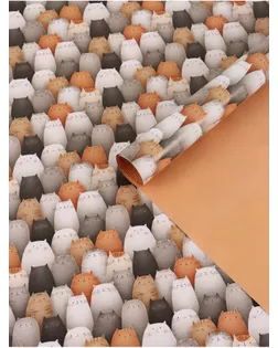 Бумага упаковочная глянцевая двухсторонняя «Коты», 70 × 100 см арт. СМЛ-281745-1-СМЛ0010889813