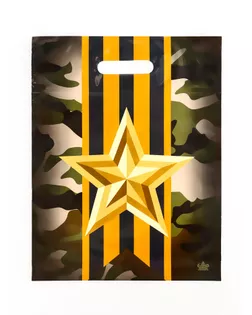 Пакет подарочный «Отвага», полиэтиленовый с вырубной ручкой, 31×40 см, 60 мкм арт. СМЛ-279421-1-СМЛ0010933051