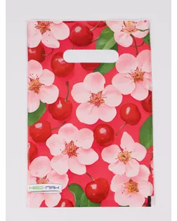 Пакет «Вишня», полиэтиленовый с вырубной ручкой, 20×30 см, 30 мкм арт. СМЛ-281714-1-СМЛ0010958826