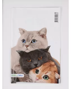 Пакет «Три кота», полиэтиленовый с вырубной ручкой, 20×30 см, 30 мкм арт. СМЛ-281719-1-СМЛ0010958832