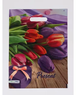 Пакет подарочный «Презент», полиэтиленовый с вырубной ручкой 30×40 см, 60 мкм арт. СМЛ-281729-1-СМЛ0010958854