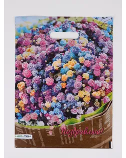 Пакет подарочный «Райский букет», полиэтиленовый с вырубной ручкой 30×40 см, 60 мкм арт. СМЛ-281732-1-СМЛ0010958857