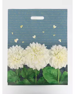 Пакет "Аллегория", полиэтиленовый с вырубной ручкой 40х50 см, 80 мкм арт. СМЛ-281098-1-СМЛ0010960221