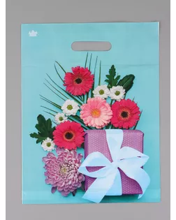 Пакет подарочный Подарочная композиция  40 х 31 см 60 мкм арт. СМЛ-282976-1-СМЛ0010980804