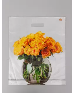 Пакет подарочный Восхищение  45 х 38 см 55 мкм арт. СМЛ-282494-1-СМЛ0010980828
