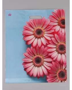 Пакет подарочный Герберы Шанис  45 х 38 см 55 мкм арт. СМЛ-282980-1-СМЛ0010980829