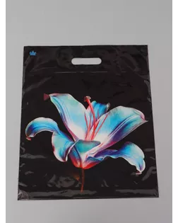 Пакет подарочный Лила  45 х 38 см 55 мкм арт. СМЛ-282495-1-СМЛ0010980832