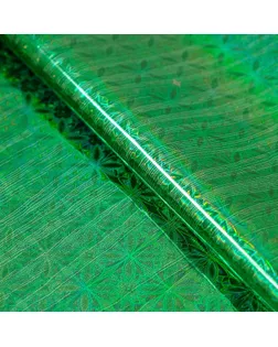 Пленка голография, зелёный, 70 х 100 см, рисунок МИКС арт. СМЛ-104150-1-СМЛ0001112807