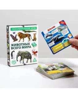 Игра-викторина «Животные всего мира» арт. СМЛ-113782-1-СМЛ0001243615