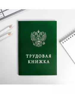 Ежедневник "Трудовая книжка", А5, 80 листов арт. СМЛ-173138-1-СМЛ0001814778
