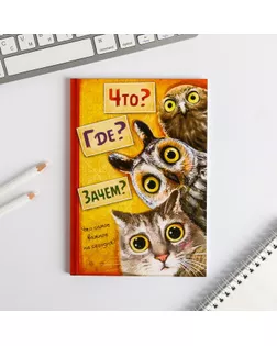 Ежедневник "Что? Где? Зачем?", А5, 80 листов арт. СМЛ-173182-1-СМЛ0001839509
