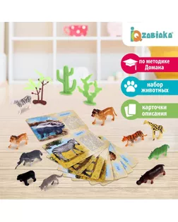 Набор животных с обучающими карточками «Дикие животные разных стран», животные пластик, карточки арт. СМЛ-50242-1-СМЛ0002519485