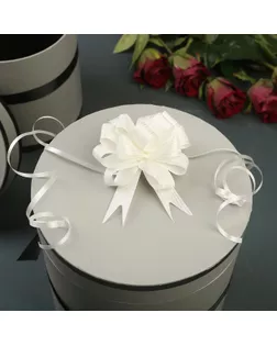 Бант-шар №1,8 тонкие полосы, белый арт. СМЛ-53433-1-СМЛ0002859581