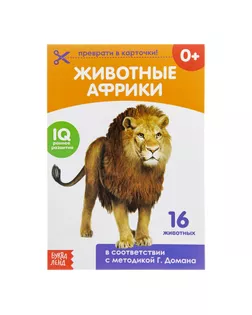 Обучающая книжка по методике Г. Домана «Животные Африки», 20 стр. арт. СМЛ-52444-1-СМЛ0003015926
