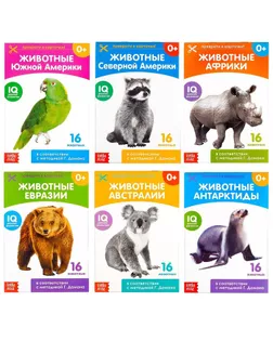 Книги набор «Карточки Домана. Животные материков», 6 шт. по 20 стр. арт. СМЛ-55994-1-СМЛ0003445469