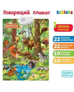 Говорящий электронный плакат «Лесные животные», работает от батареек арт. СМЛ-63947-1-СМЛ0003524462