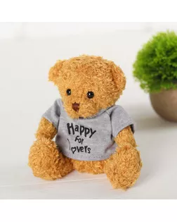 Мягкая игрушка «Медведь в свитере», 20 см, цвета МИКС арт. СМЛ-99372-2-СМЛ0004462344