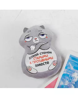 Мягкая игрушка-магнит «Давай станем старыми и противными вместе» арт. СМЛ-118182-1-СМЛ0004605609