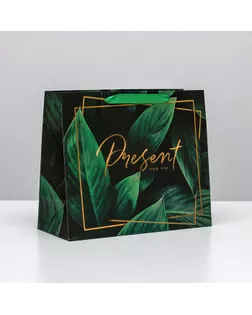 Пакет ламинированный горизонтальный Present for you, ML 27 × 23 × 11,5 см арт. СМЛ-101337-1-СМЛ0004725121