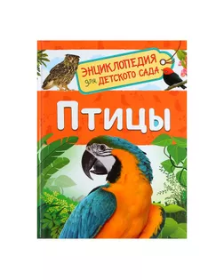 Энциклопедия для детского сада «Птицы». Гальцева С. Н. арт. СМЛ-76777-1-СМЛ0004737080