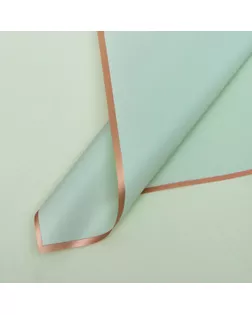 Пленка для цветов "Золотая полоса", тиффани, 58 х 58 см арт. СМЛ-139469-6-СМЛ0004758569