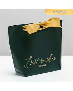 Пакет подарочный Best wishes, 21 х 17 х 7 см арт. СМЛ-101075-3-СМЛ0004785001