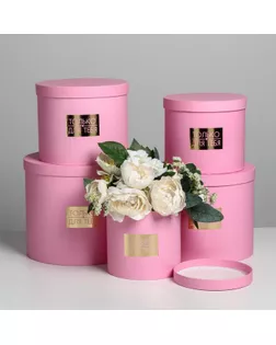 Набор шляпных коробок для цветов 5 в 1 «Нежность», 14 × 13 см - 22 × 19,5 см арт. СМЛ-105435-1-СМЛ0004796449