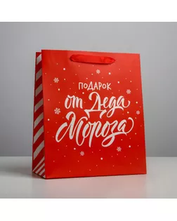 Пакет ламинированный вертикальный «Подарок от Деда Мороза», L 31 × 40 × 11,5 см арт. СМЛ-101476-2-СМЛ0004843280