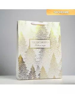 Пакет ламинированный вертикальный «Чудесного праздника», L 31 × 40 × 11,5 см арт. СМЛ-110929-4-СМЛ0004843288