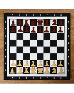 Демонстрационные шахматы на магнитной доске, 60х60 см арт. СМЛ-83756-1-СМЛ0004870420