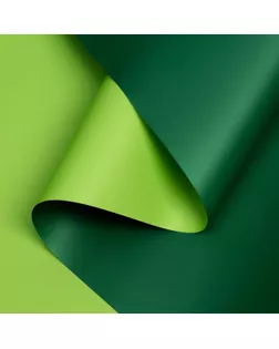 Пленка двухсторонняя 0,58 х 5 м зелёный арт. СМЛ-119589-1-СМЛ0004951272
