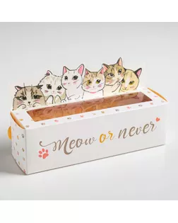 Коробочка для макарун Meow or never, 18 х 5,5 х 5,5 см арт. СМЛ-92482-1-СМЛ0005111765